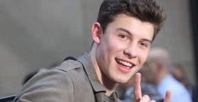 Shawn Mendes Profile