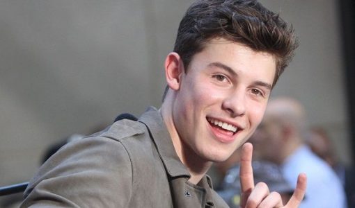 Shawn Mendes Profile